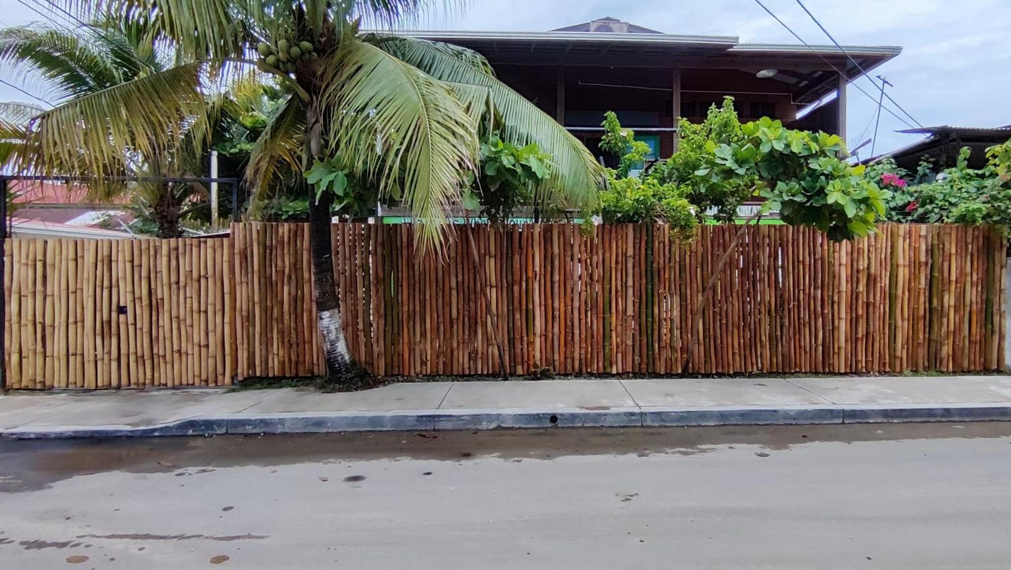 Bambu Lounge Bocas Hostel Bocas del Toro Exterior foto